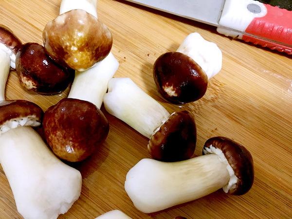 timg (1).jpg timg (1).jpg