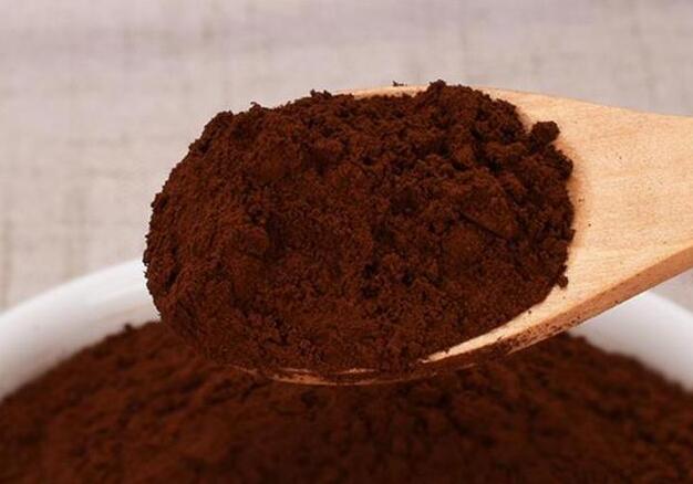 靈芝精粉 靈芝精粉