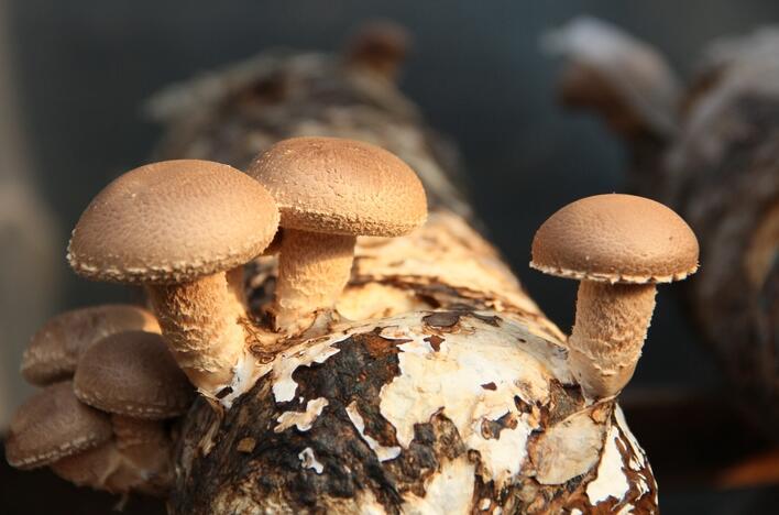 QQ截圖20210615152332.jpg QQ截圖20210615152332.jpg